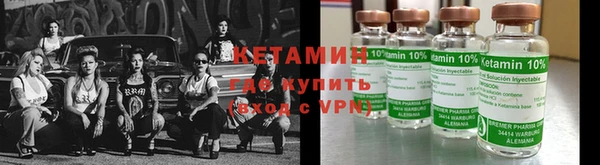 шишки Дмитров