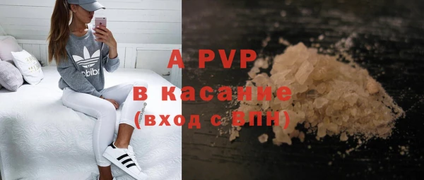 spice Гусев
