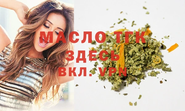 spice Гусев