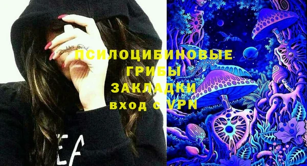 ГАЛЛЮЦИНОГЕННЫЕ ГРИБЫ Дмитровск