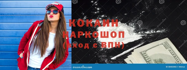 spice Гусев